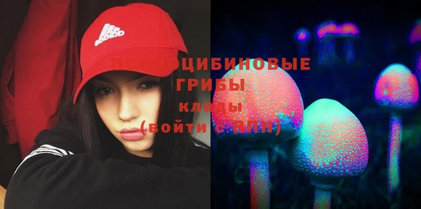 PSILOCYBIN Краснослободск