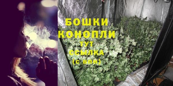 PSILOCYBIN Краснослободск
