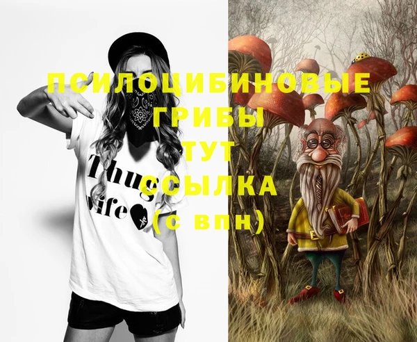 не бодяженный Краснотурьинск