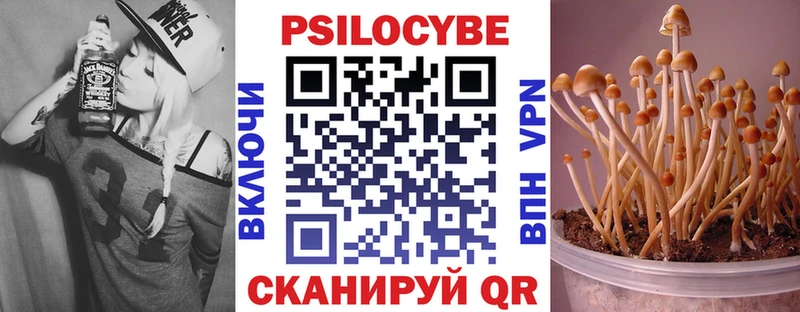 Галлюциногенные грибы Cubensis  Купить где  Дзержинский 