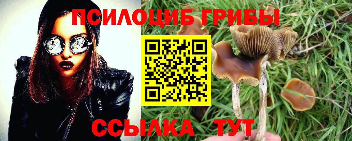 Псилоцибиновые грибы GOLDEN TEACHER Дзержинский