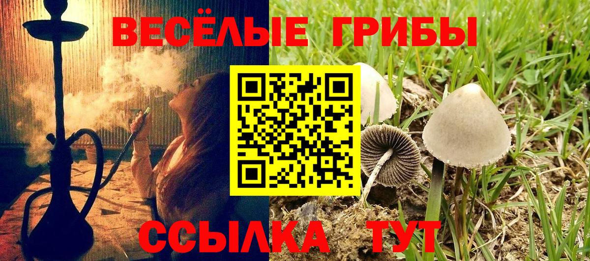 Галлюциногенные грибы GOLDEN TEACHER  Вход с VPN  наркошоп  Псилоцибиновые грибы мухоморы  Дзержинский 