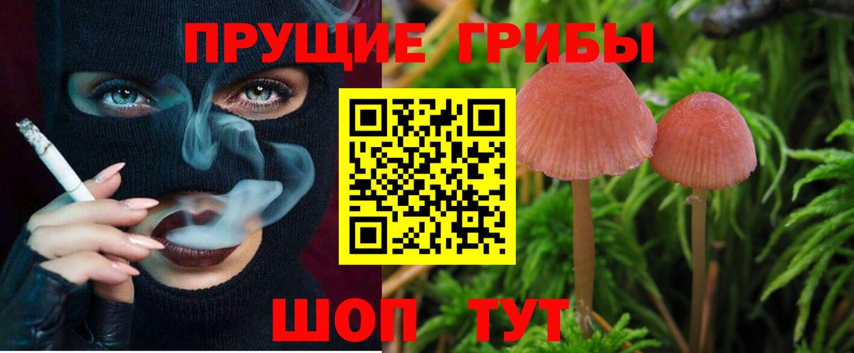 Псилоцибиновые грибы Magic Shrooms  Дзержинский 